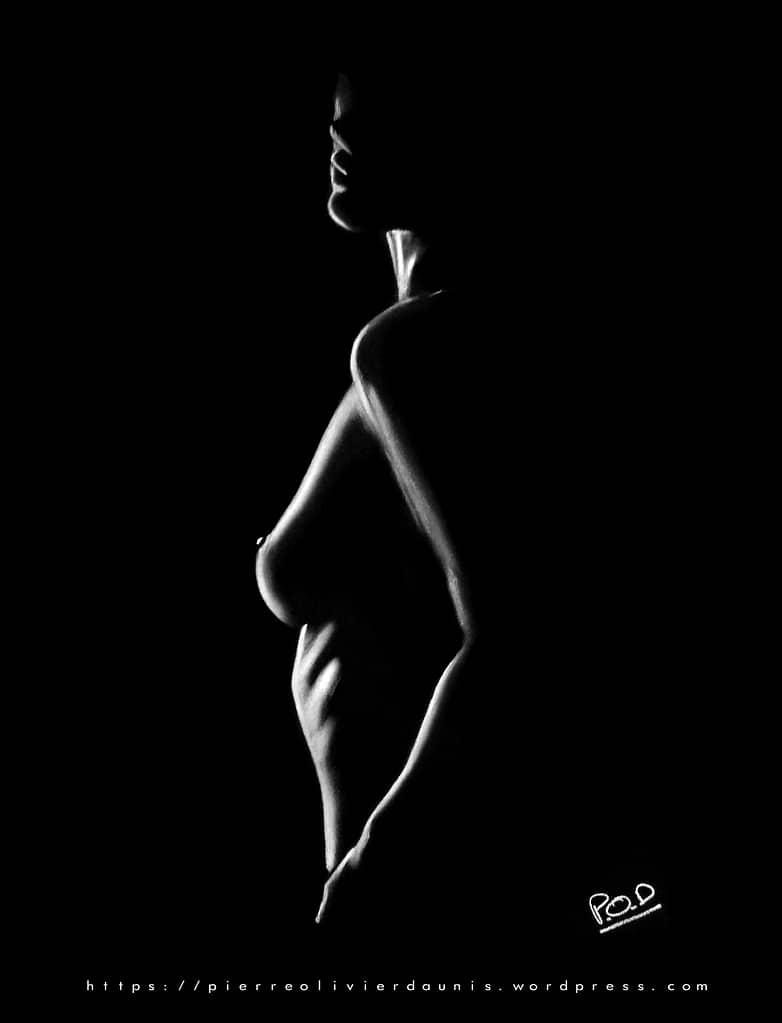 Tableau de femme nue de profil 52 . par Pierre-Olivier Daunis