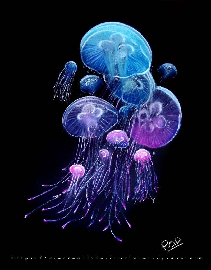 tableau de méduse 