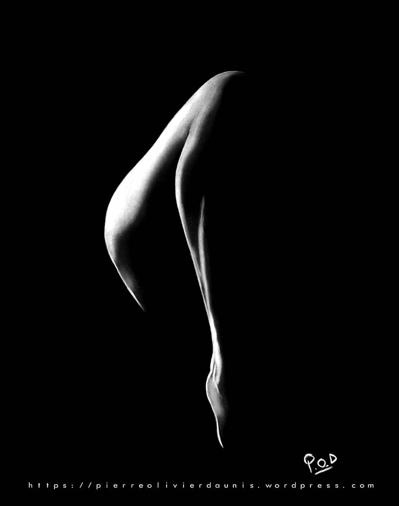 tableau de jambe de femme nue 57-peinture-moderne-au-pastel-sec courbe de femme